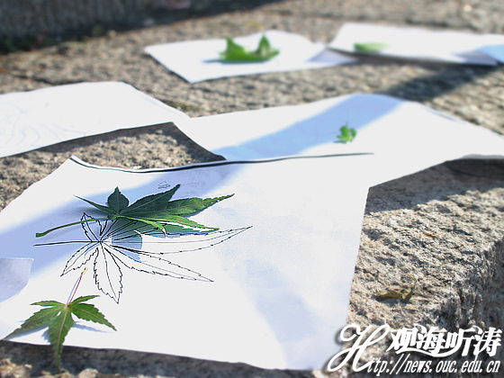 参与者在“叶之魂”游戏中的成果