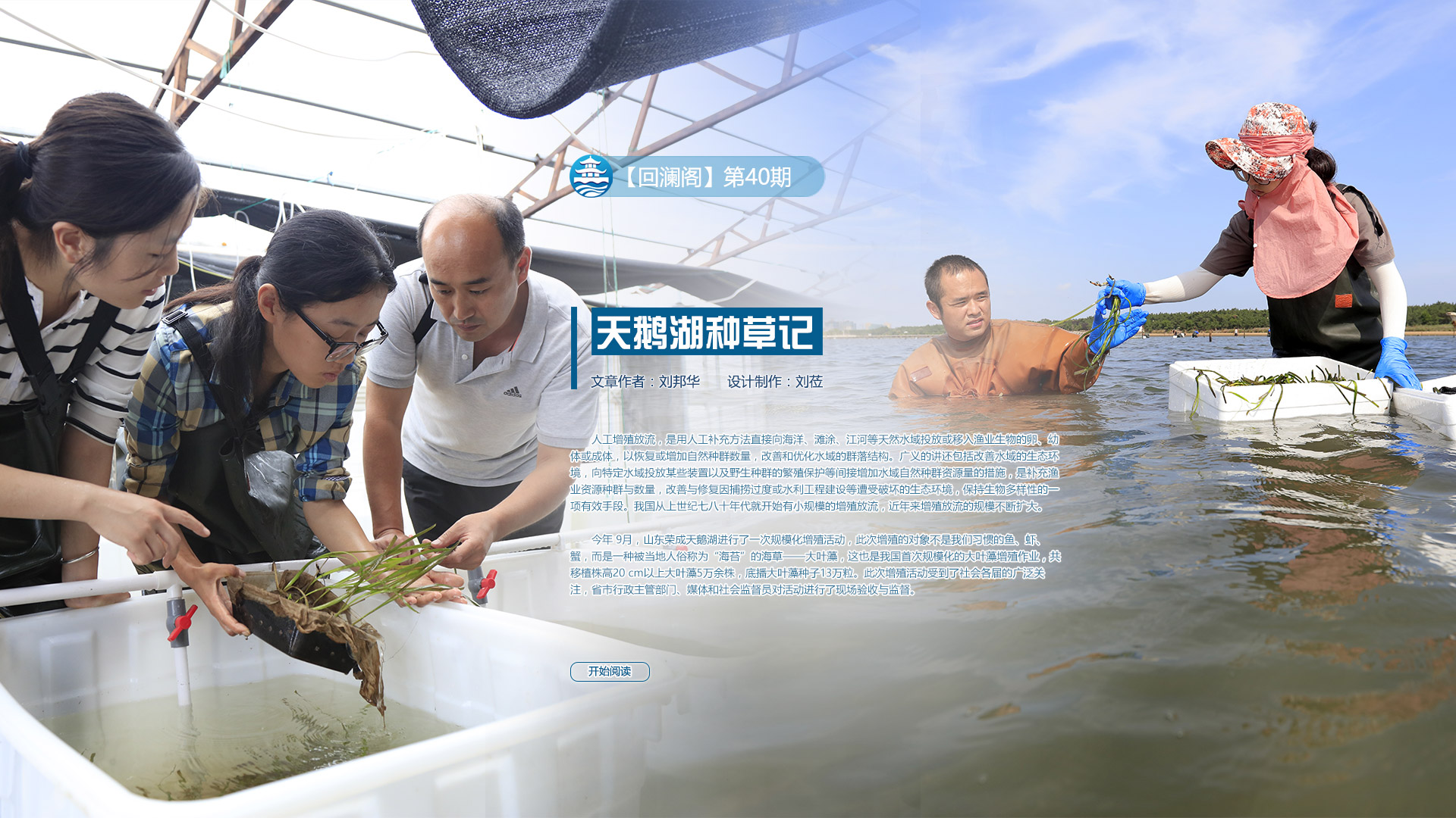 天鹅湖种草记